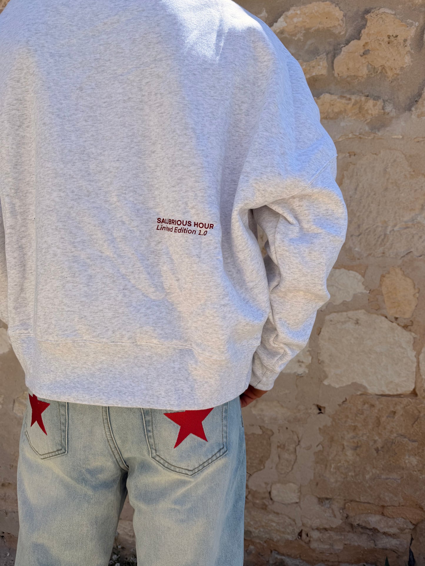 LIMITED EDITION 1.0 CREW