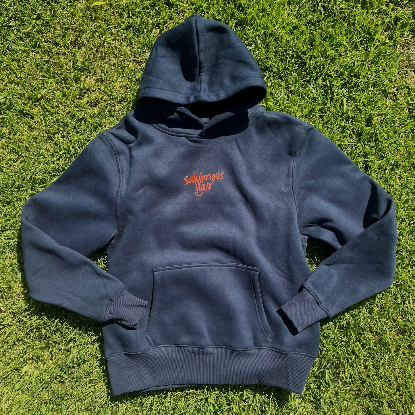 Salubrious Hour Navy Hoodie